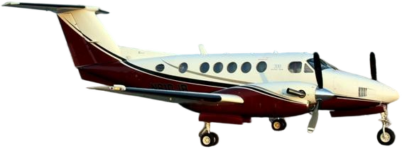 Image of tail C-GUND