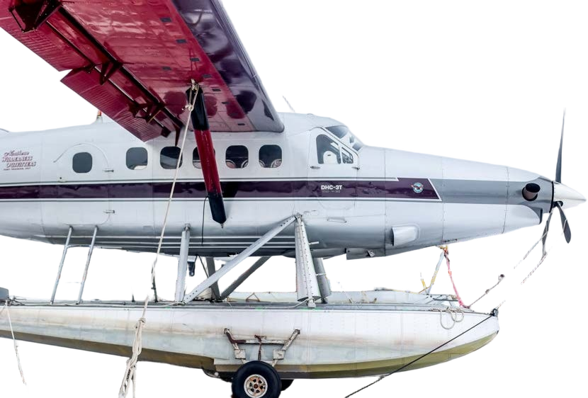 Image of tail C-GUTL