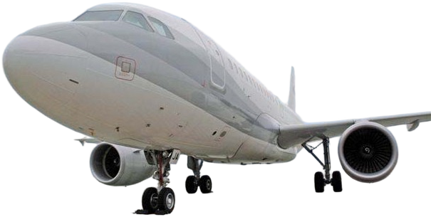 Image of tail CS-