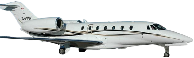 Image of tail HI-1010