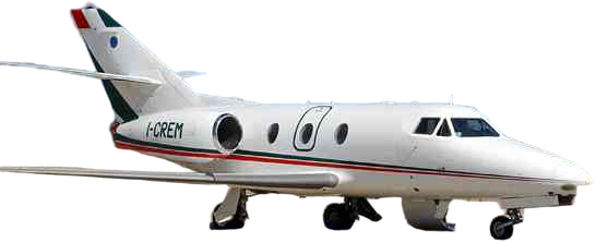 Image of tail M-ECJI