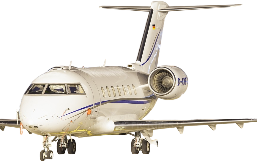 Image of tail M-IBAS