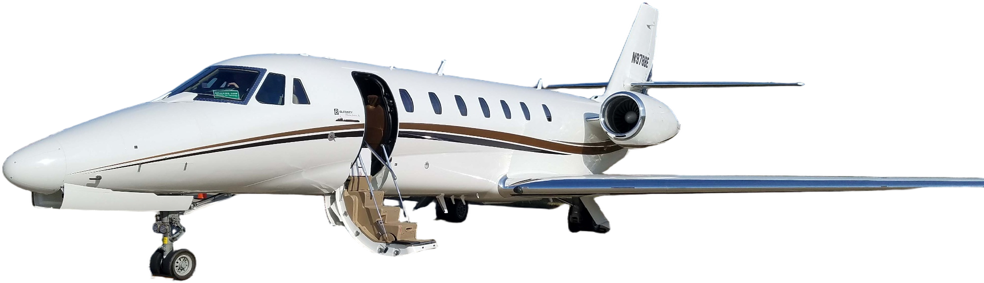 Image of tail M-JAZZ