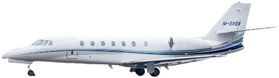 Image of tail M-SVGN