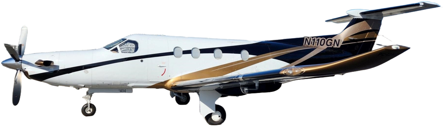 Image of tail N110GN