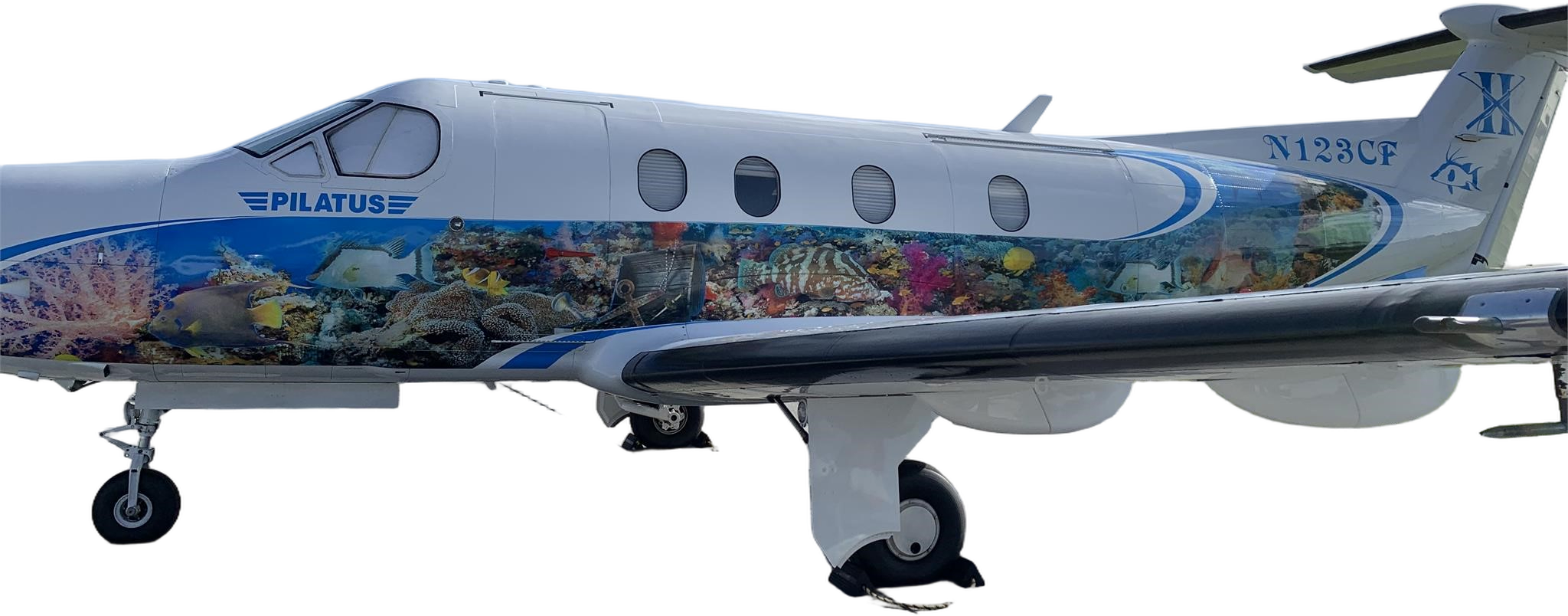 Image of tail N123CF