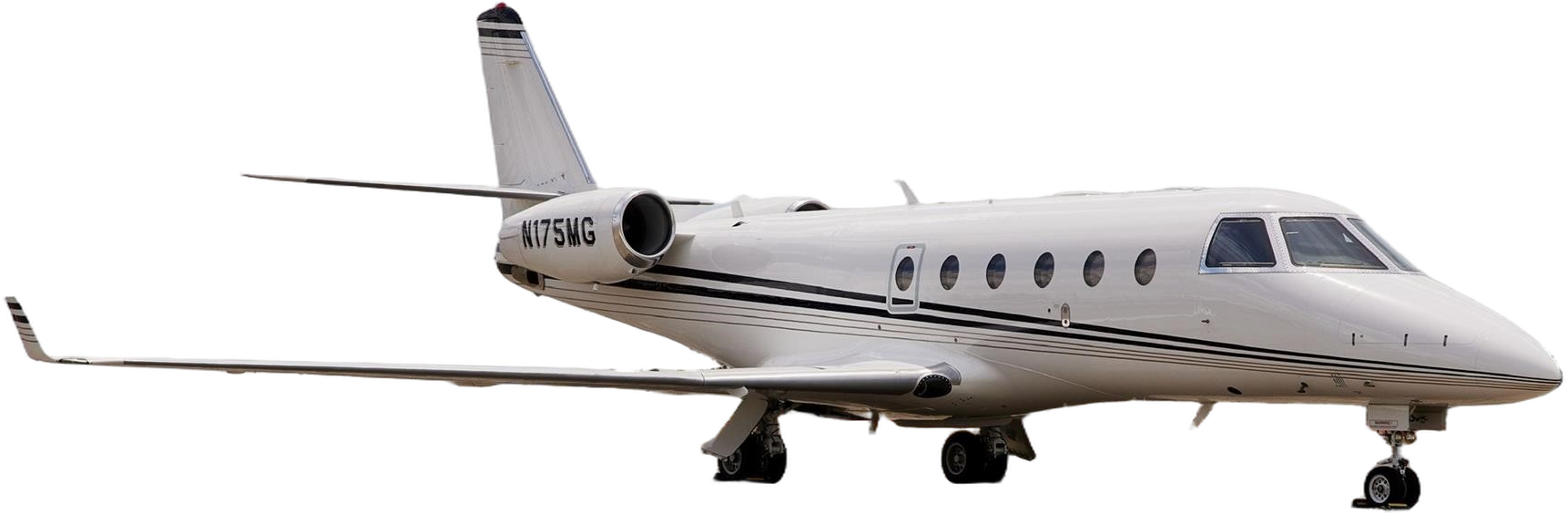 Image of tail N175MG