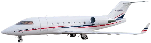 Image of tail N1VR