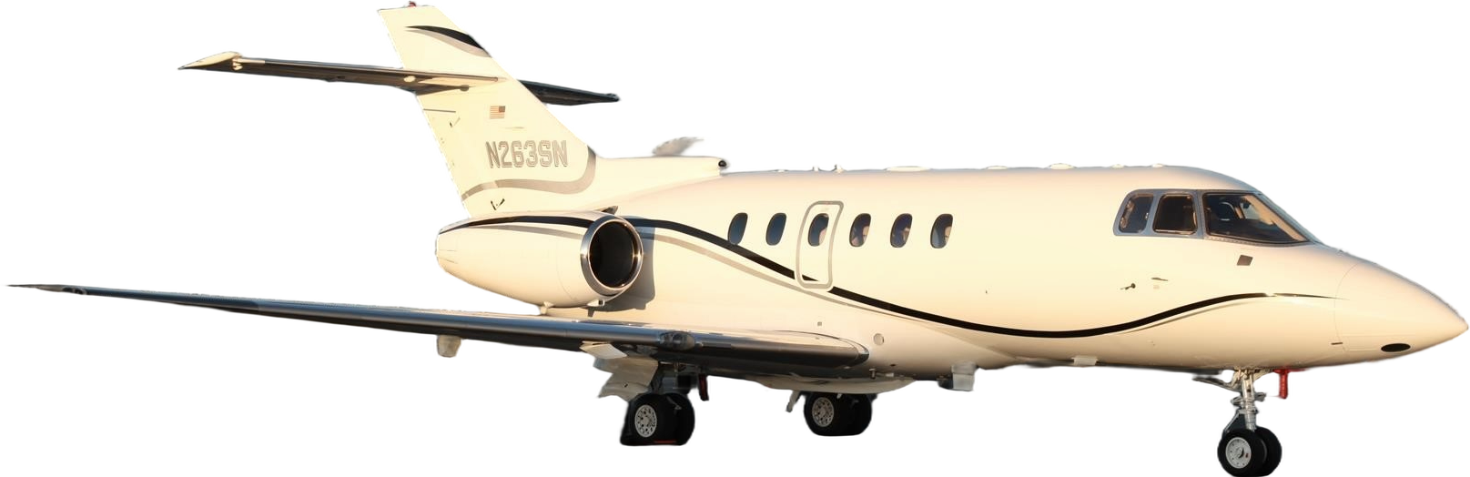 Image of tail N263SN