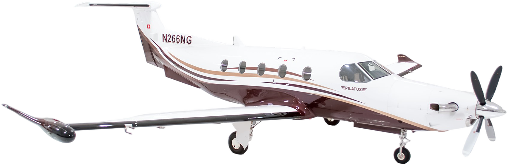 Image of tail N266NG