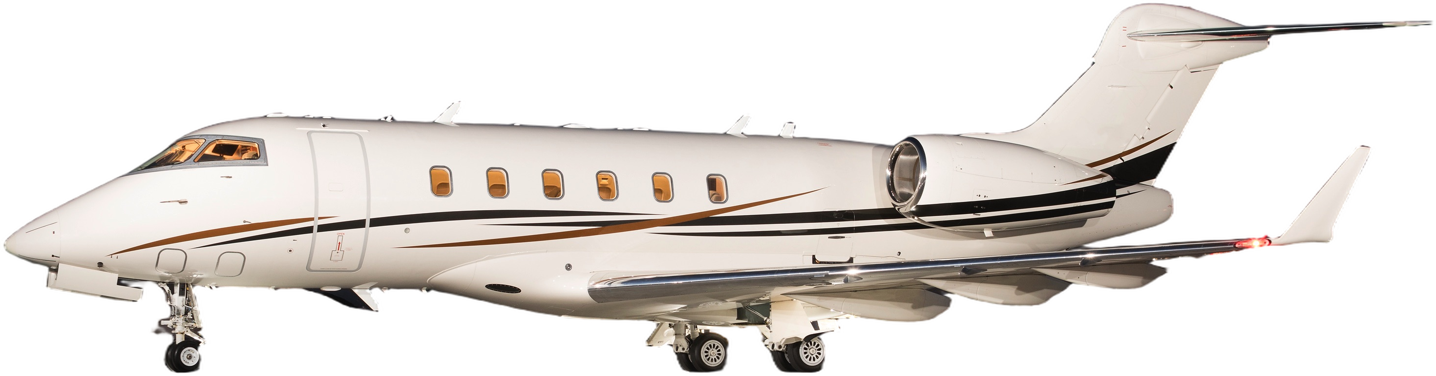 Image of tail N300LT
