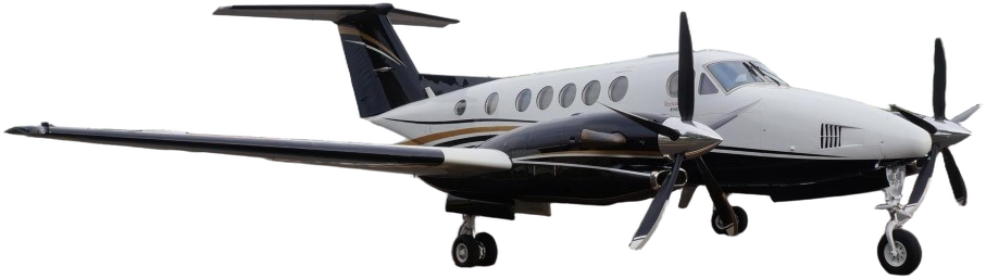 Image of tail N300PT