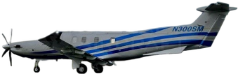 Image of tail N300SM