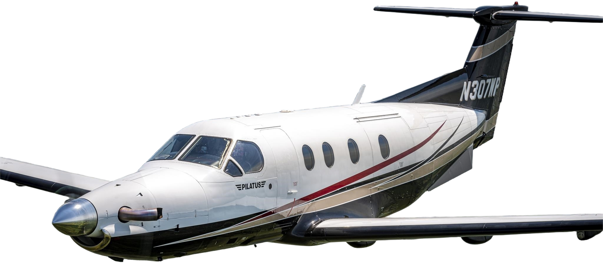 Image of tail N307WP