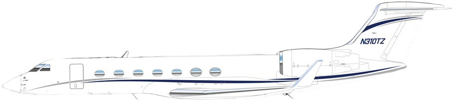 Image of tail N310TZ