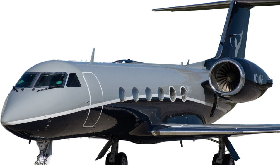 Image of tail N313AR