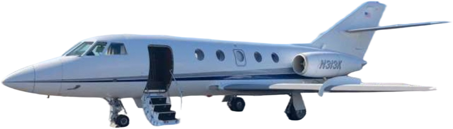 Image of tail N313K