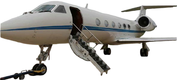 Image of tail N338MM