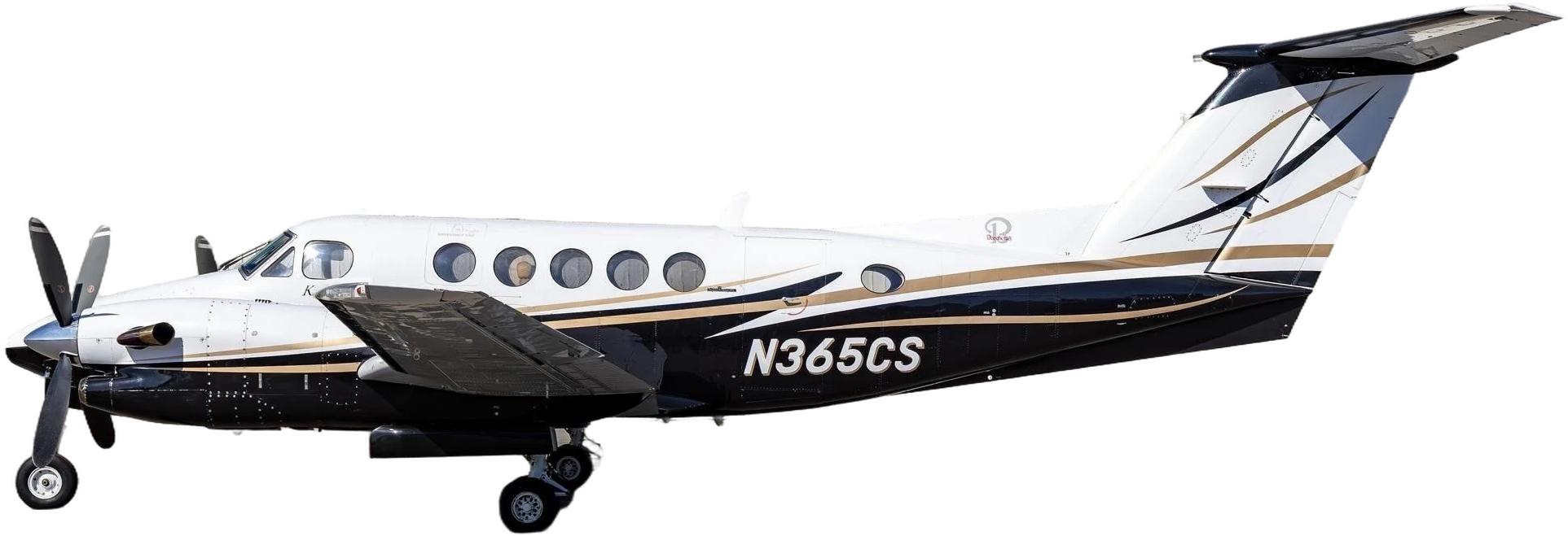 Image of tail N365CS