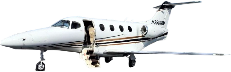 Image of tail N390MM