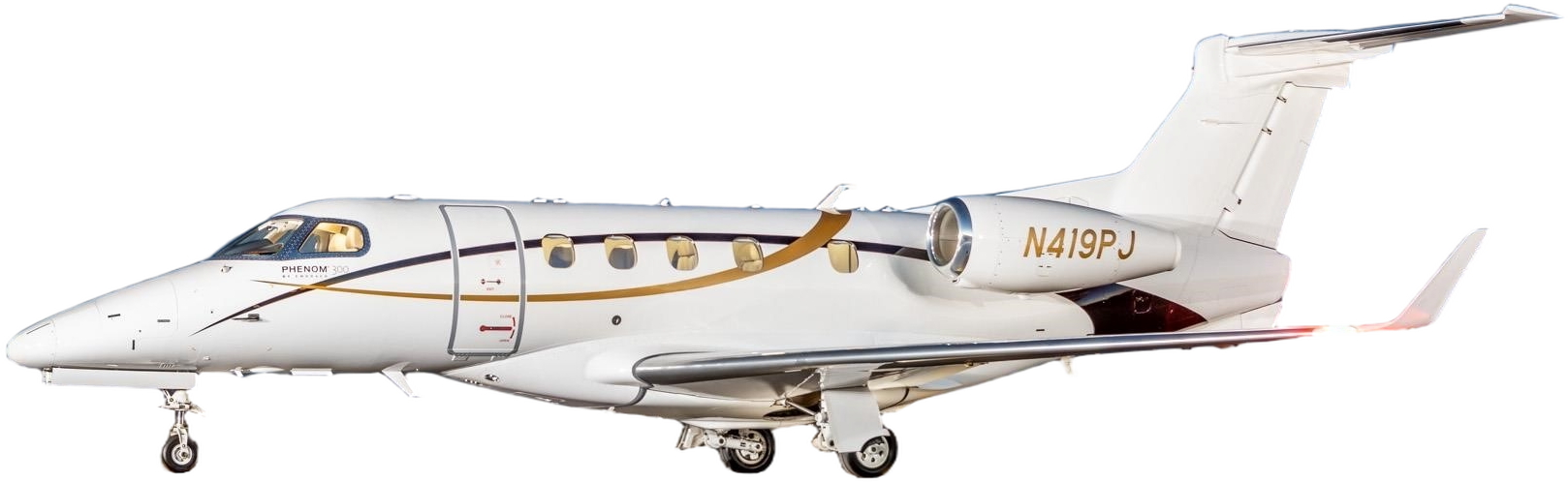 Image of tail N419PJ
