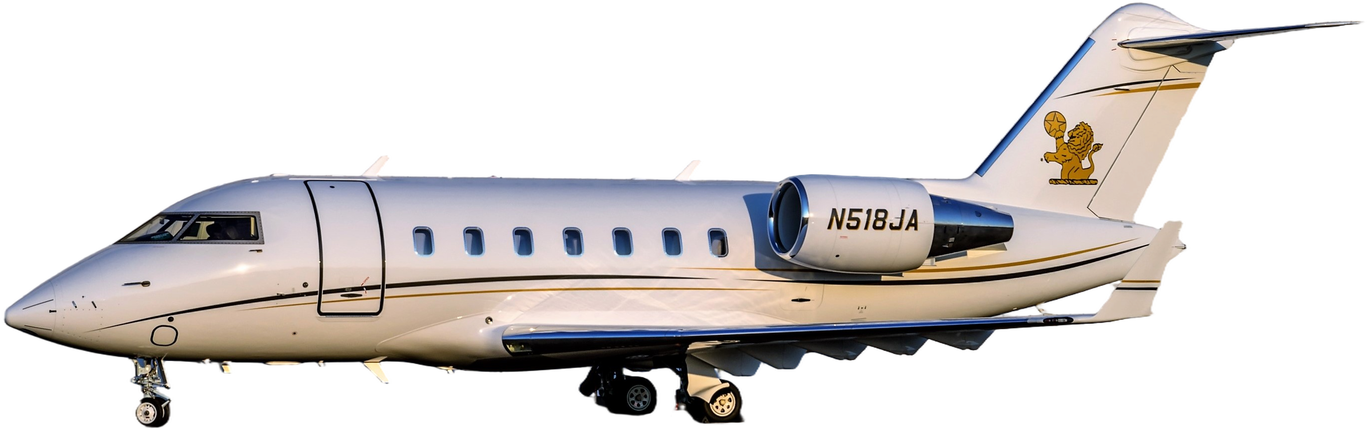 Image of tail N518JA