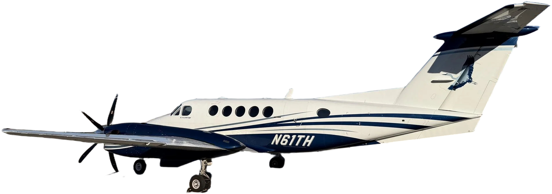 Image of tail N61TH