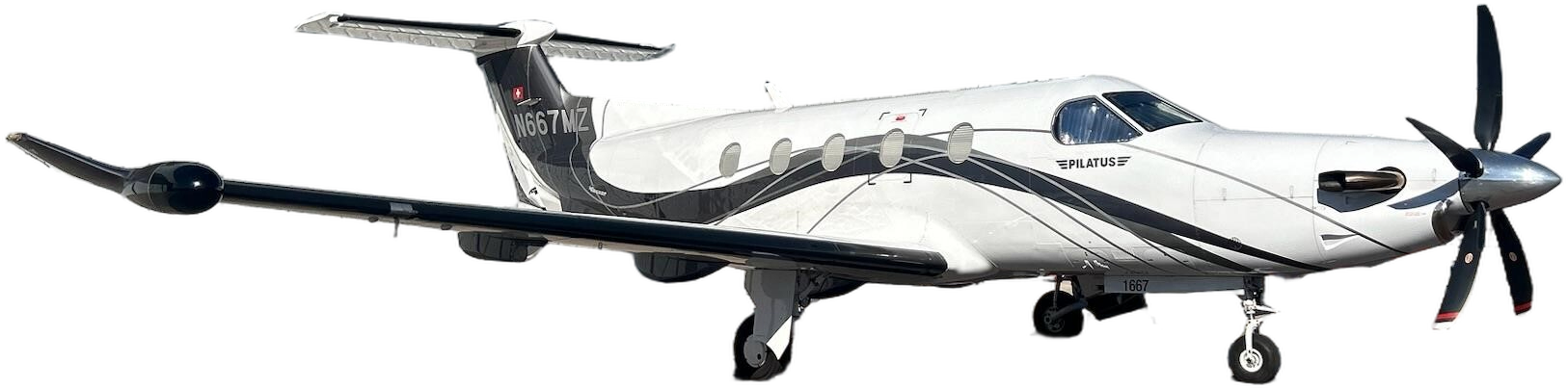 Image of tail N667MZ