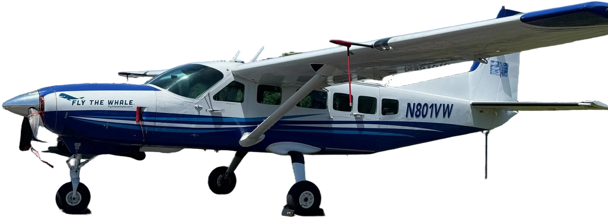 Image of tail N801VW