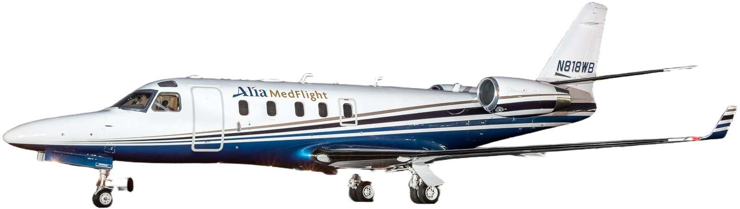 Image of tail N81