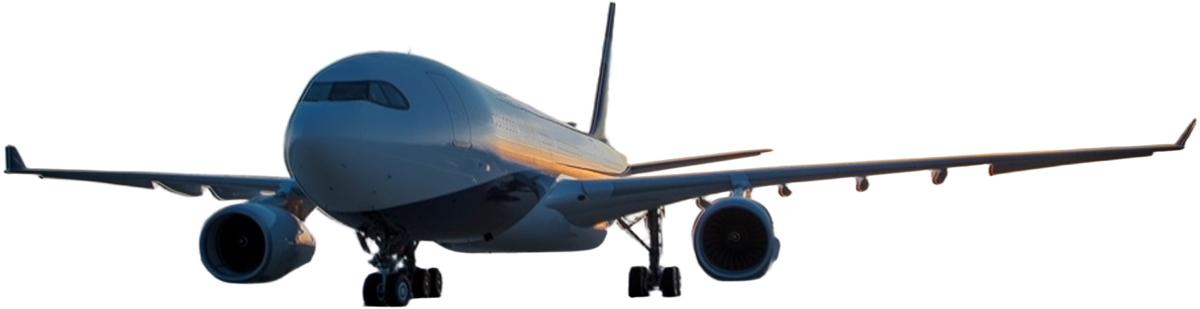 Image of tail P4-MLO