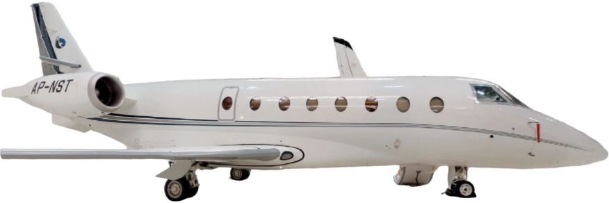Image of tail T7-AME