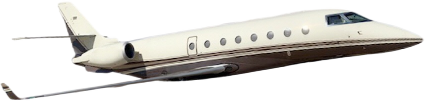 Image of tail T7-IST