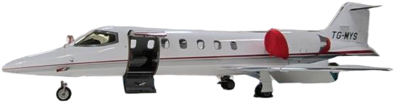 Image of tail TG-MYS