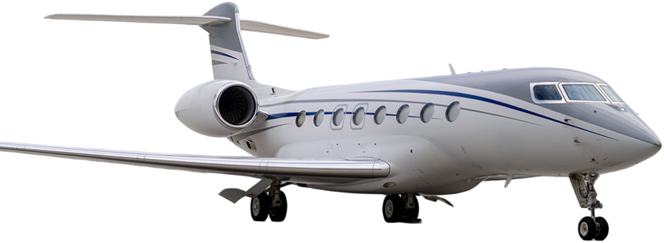 Image of tail VP-CBP