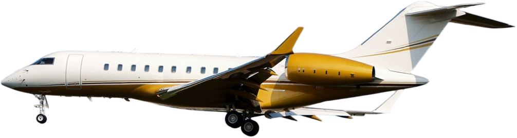 Image of tail VP-L