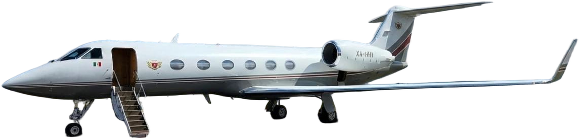 Image of tail XA-HNY