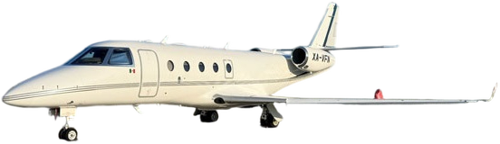 Image of tail XA-VFN