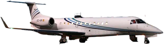 Image of tail XA-YES