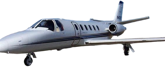 Image of tail XB-MYO