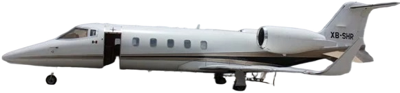 Image of tail XB-SHR