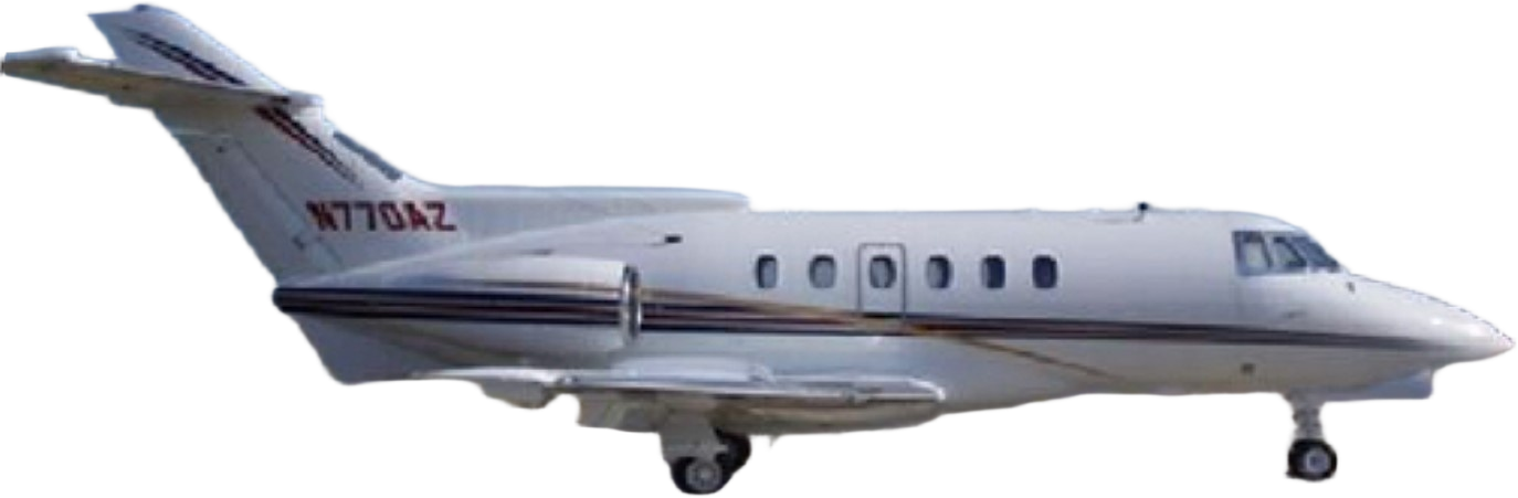 Image of tail XC-LQO