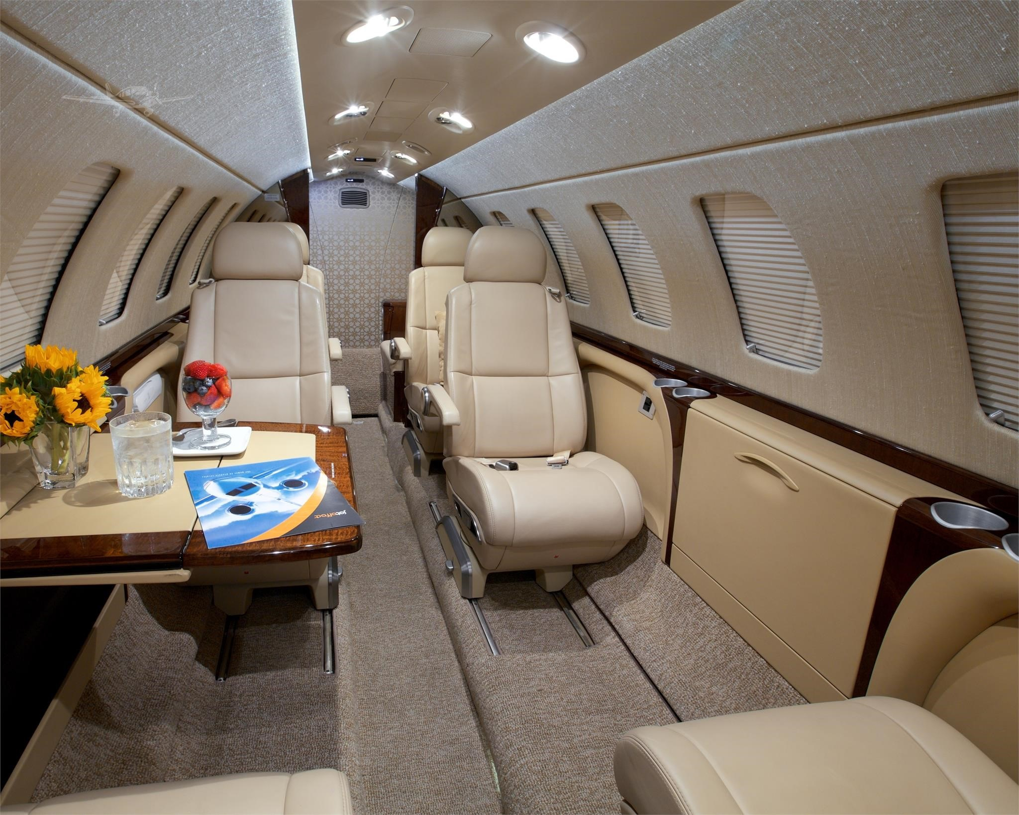 Aircraft Image for N460LF