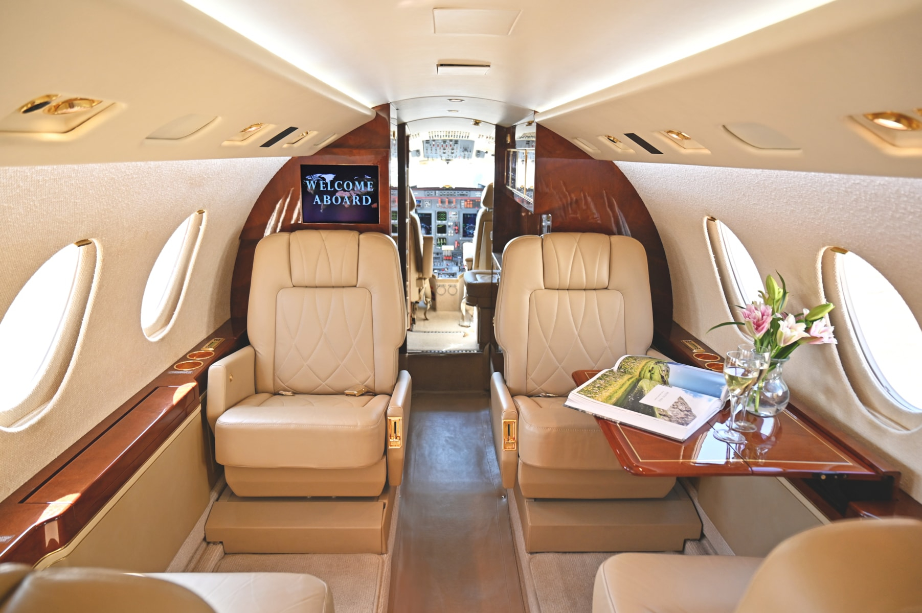 Aircraft Image for N999MK