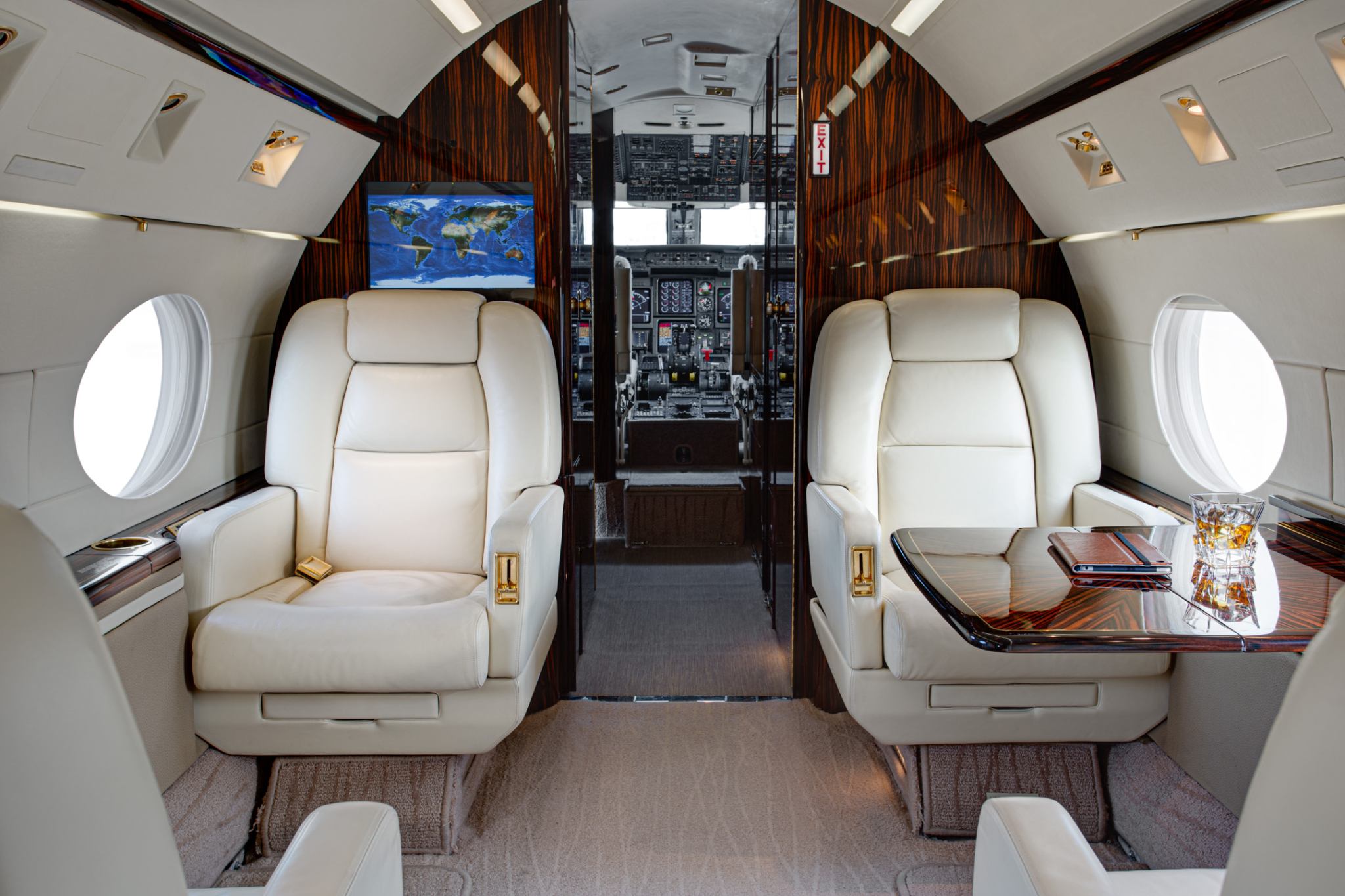 Aircraft Image for XA-LMV