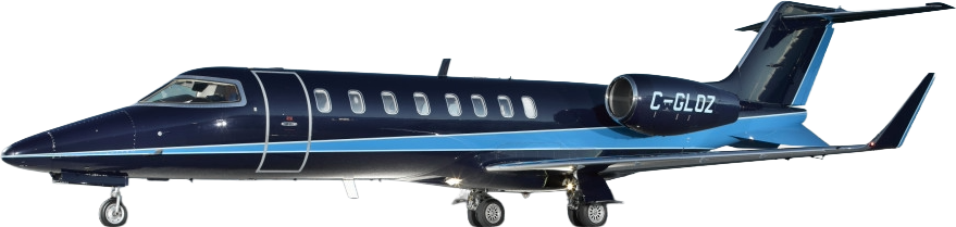 Image of tail C-GLOZ