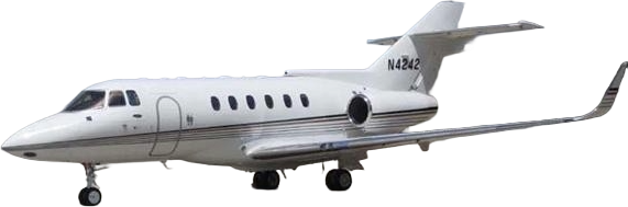 Image of tail XA-LEX