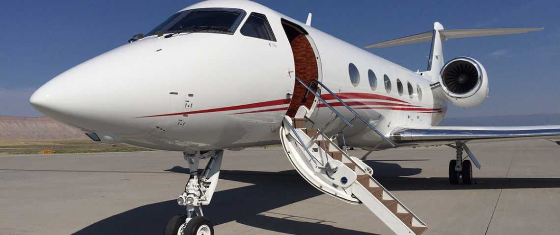 Image of tail 2-CHIU