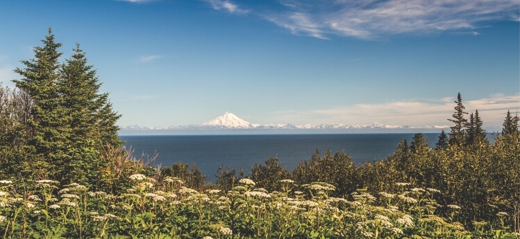 Image of city Anchor Point, AK