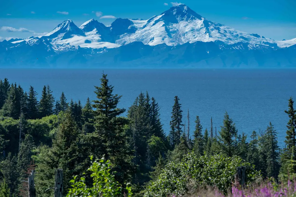 Image of city Anchor Point, AK